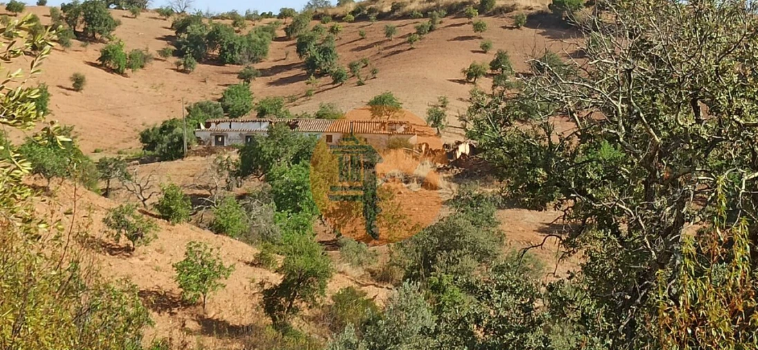 Terreno para Venda em Santa Catarina da Fonte do Bispo Foto 37