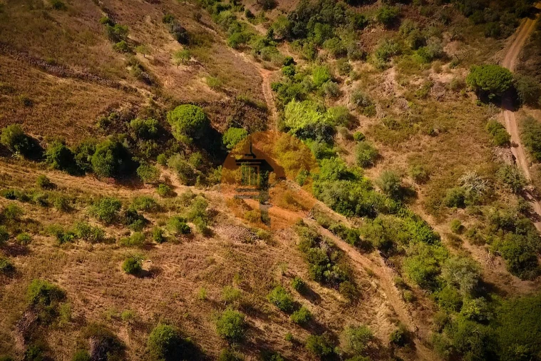 Terreno para Venda em Santa Catarina da Fonte do Bispo Foto 39