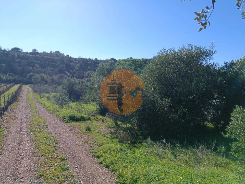 Terreno para Venda em Castro Marim Foto 7