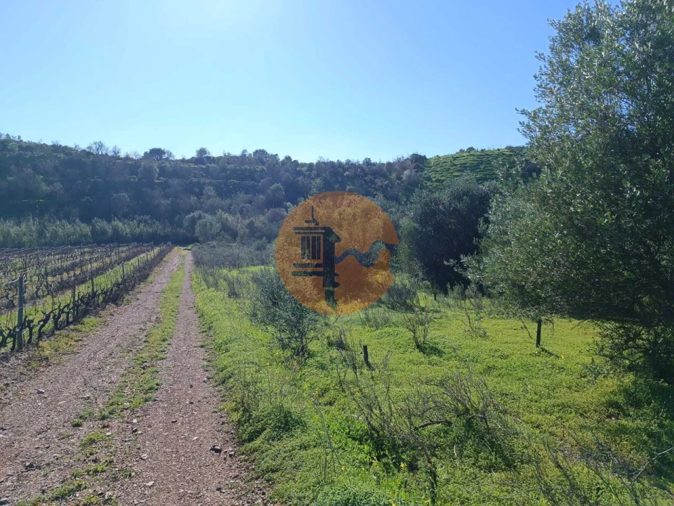 Terreno para Venda em Castro Marim Foto 9