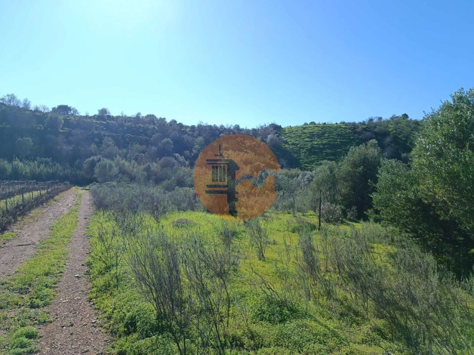 Terreno para Venda em Castro Marim Foto 12