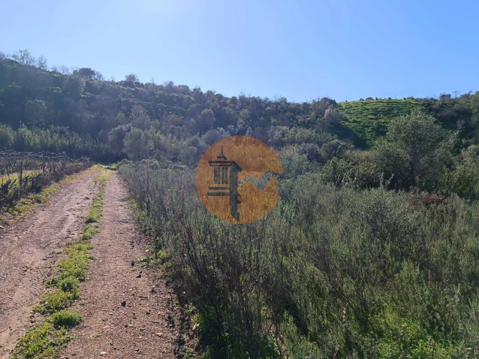 Terreno para Venda em Castro Marim Foto 14