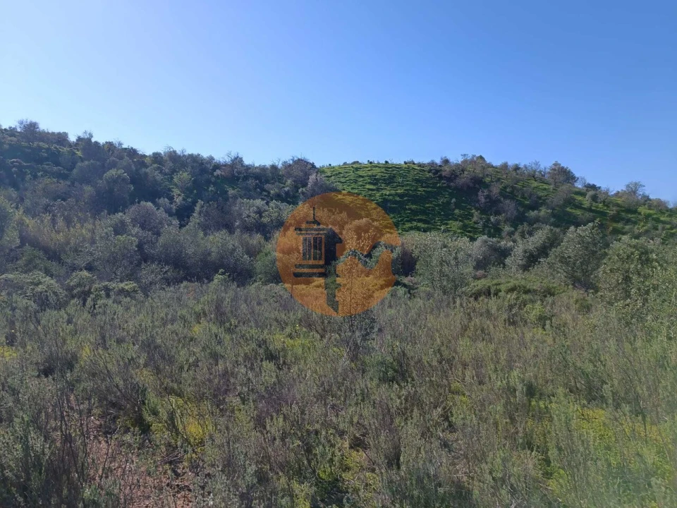 Terreno para Venda em Castro Marim Foto 16