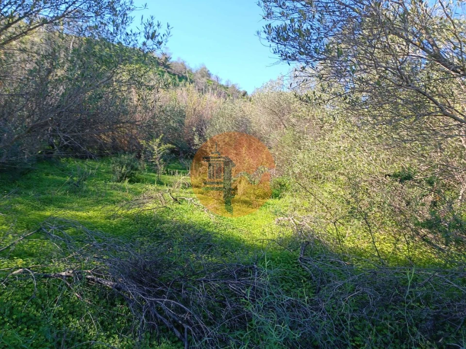 Terreno para Venda em Castro Marim Foto 23