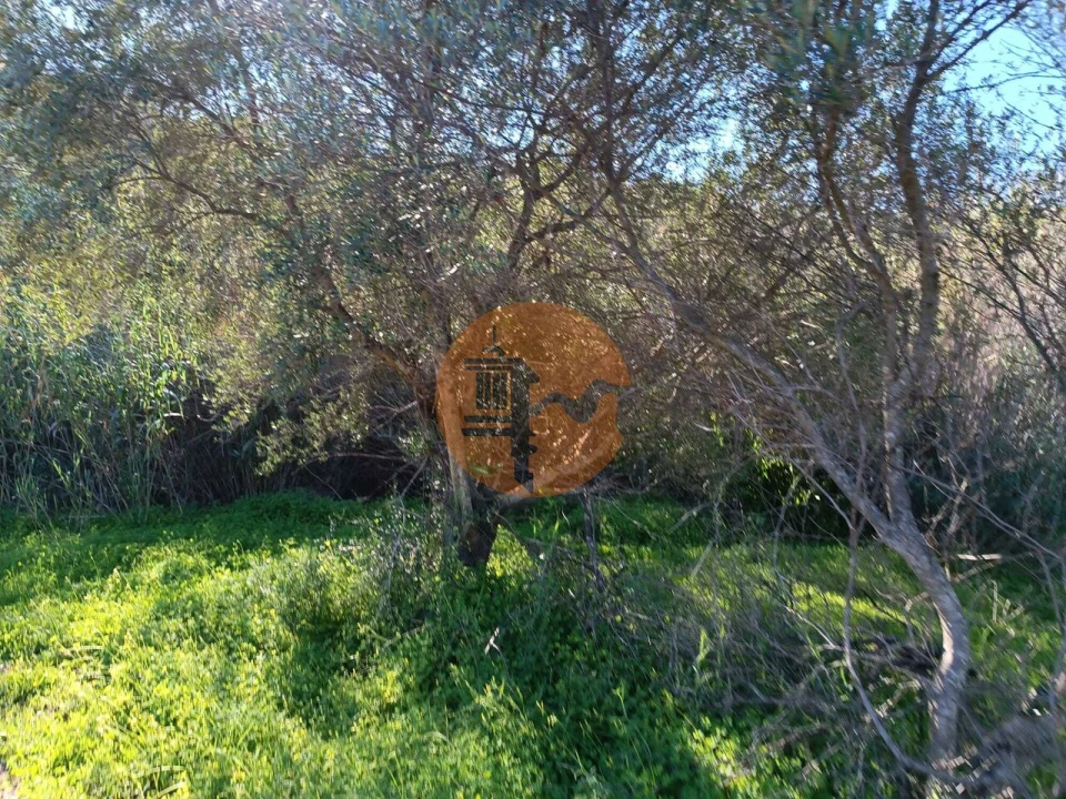 Terreno para Venda em Castro Marim Foto 25