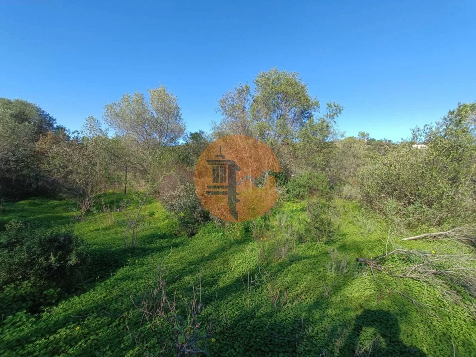 Terreno para Venda em Castro Marim Foto 27