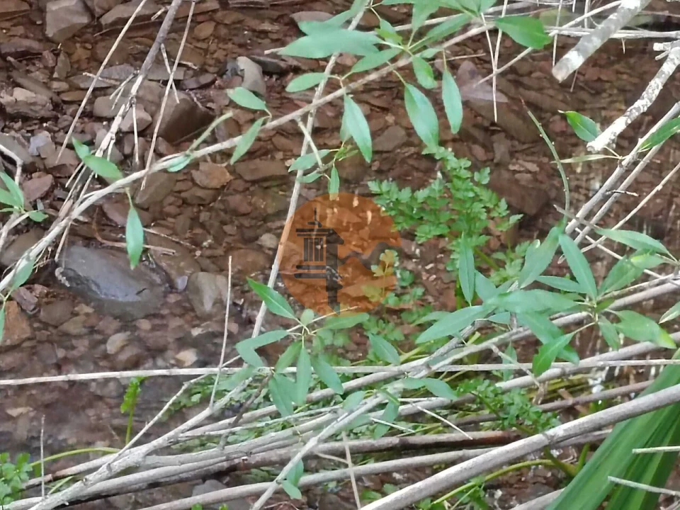 Terreno para Venda em Castro Marim Foto 29