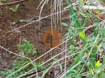 Terreno para Venda em Castro Marim