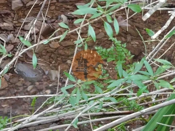 Terreno para Venda em Castro Marim