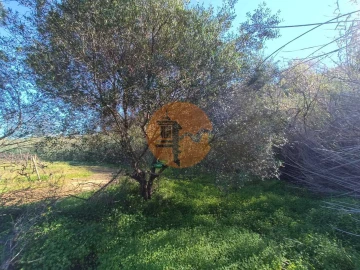 Terreno para Venda em Castro Marim