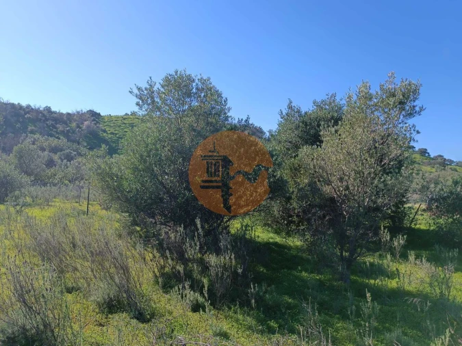 Terreno para Venda em Castro Marim Foto 10