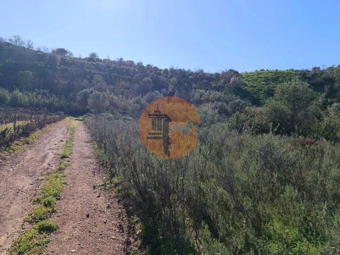 Terreno para Venda em Castro Marim Foto 14