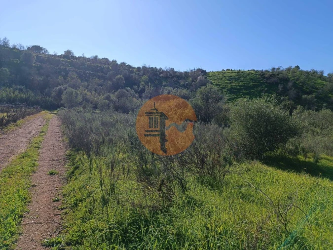 Terreno para Venda em Castro Marim Foto 15