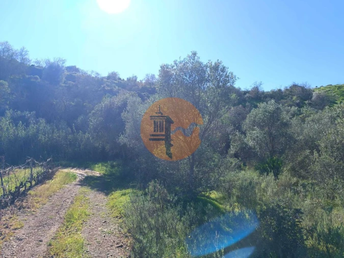Terreno para Venda em Castro Marim Foto 19