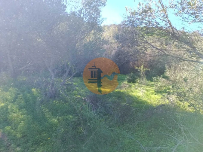 Terreno para Venda em Castro Marim Foto 22