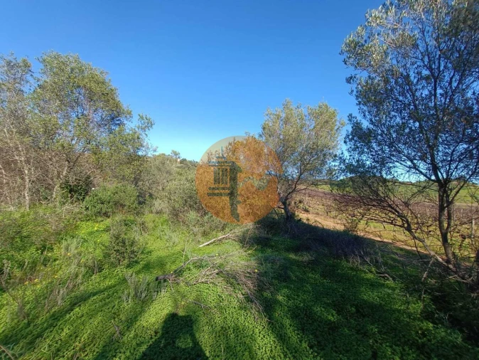 Terreno para Venda em Castro Marim Foto 28