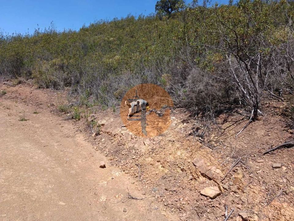 Terreno para Venda em Azinhal Foto 1