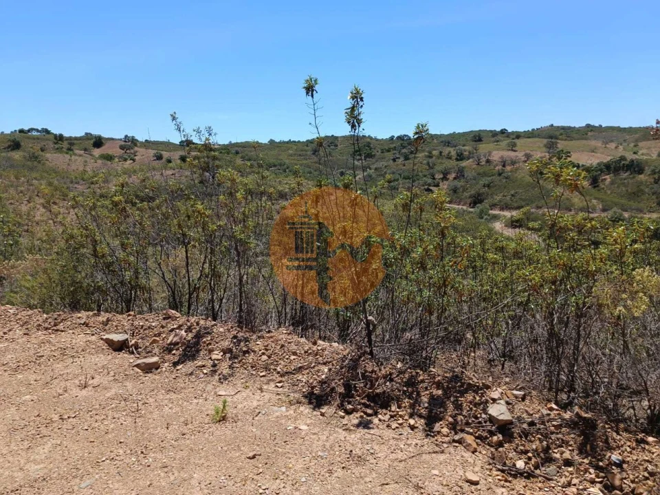 Terreno para Venda em Azinhal Foto 3