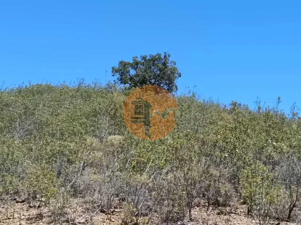 Terreno para Venda em Azinhal Foto 4
