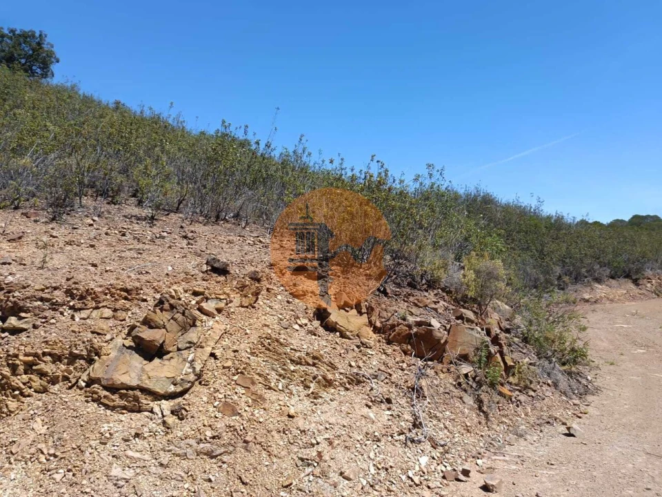 Terreno para Venda em Azinhal Foto 11