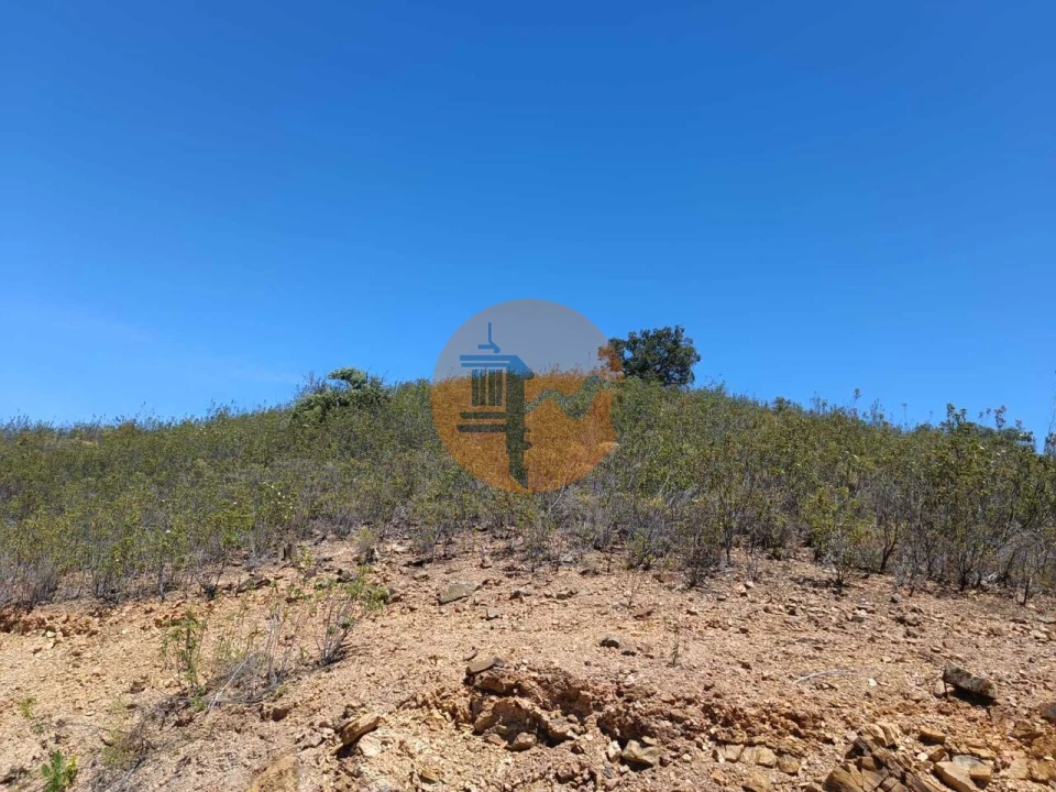Terreno para Venda em Azinhal Foto 12