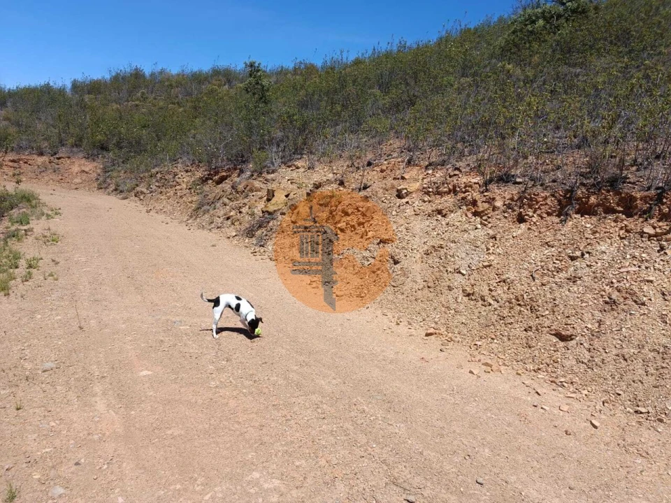 Terreno para Venda em Azinhal Foto 14