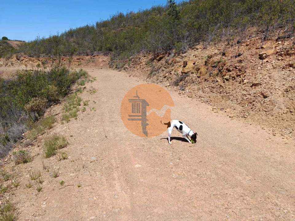 Terreno para Venda em Azinhal Foto 15