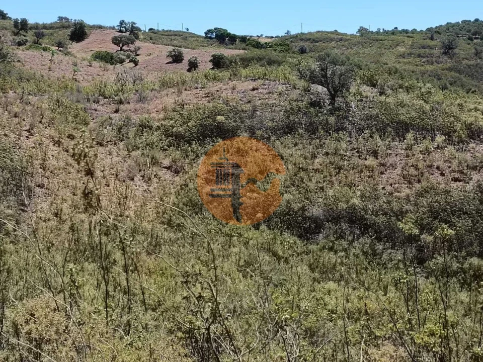 Terreno para Venda em Azinhal Foto 20