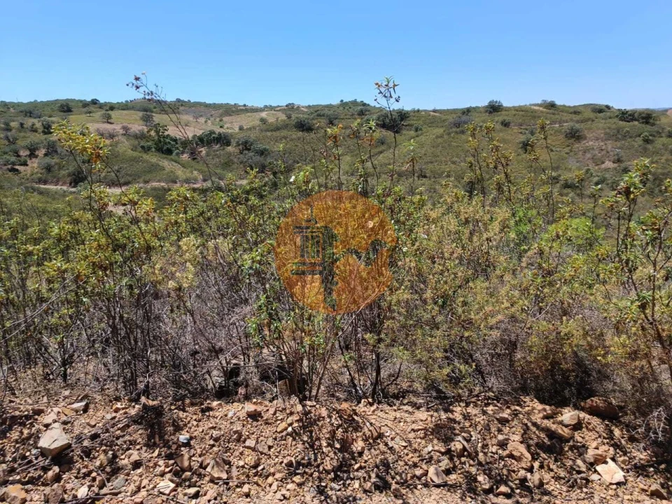Terreno para Venda em Azinhal Foto 22
