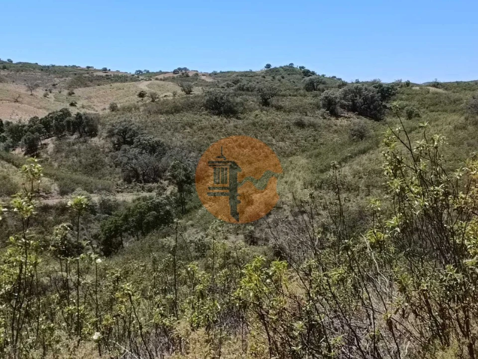 Terreno para Venda em Azinhal Foto 25