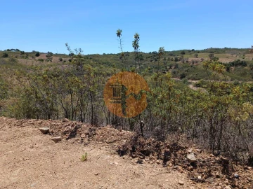 Terreno para Venda em Azinhal