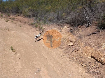 Terreno para Venda em Azinhal