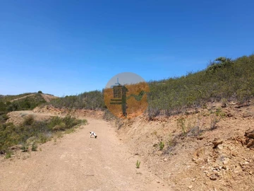 Terreno para Venda em Azinhal