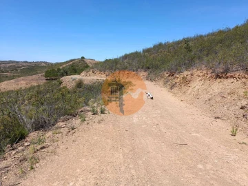 Terreno para Venda em Azinhal