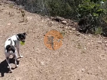 Terreno para Venda em Azinhal