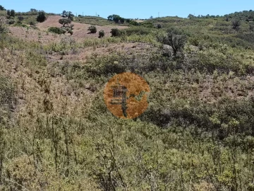 Terreno para Venda em Azinhal