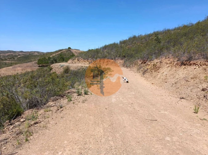 Terreno para Venda em Azinhal Foto 13