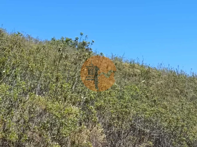 Terreno para Venda em Azinhal Foto 19