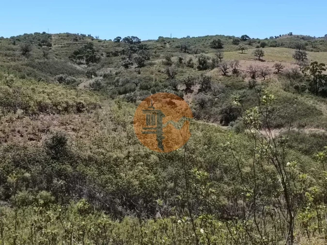 Terreno para Venda em Azinhal Foto 21