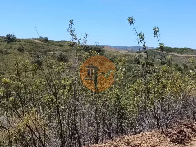 Terreno para Venda em Azinhal Foto 23