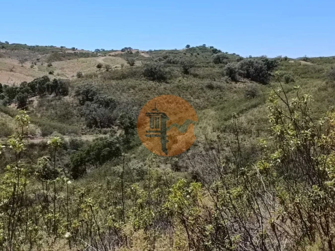 Terreno para Venda em Azinhal Foto 25