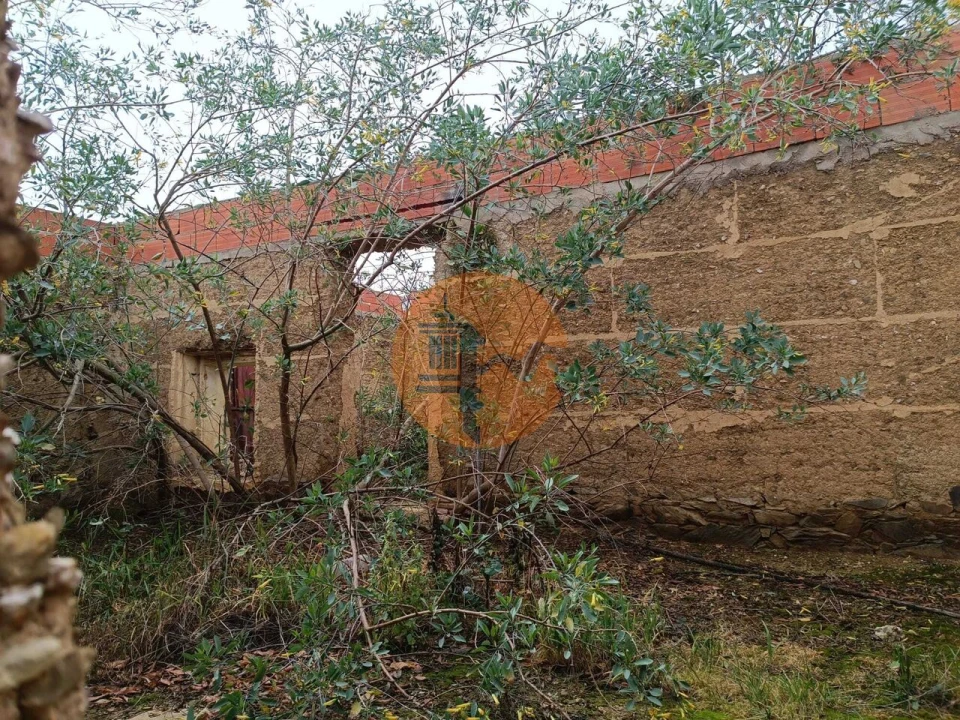 Moradia T1 para Venda em Santana de Cambas Foto 14