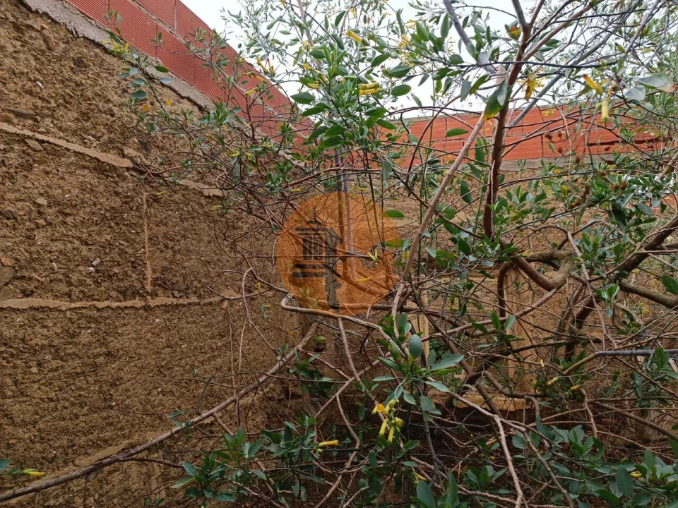 Moradia T1 para Venda em Santana de Cambas Foto 16