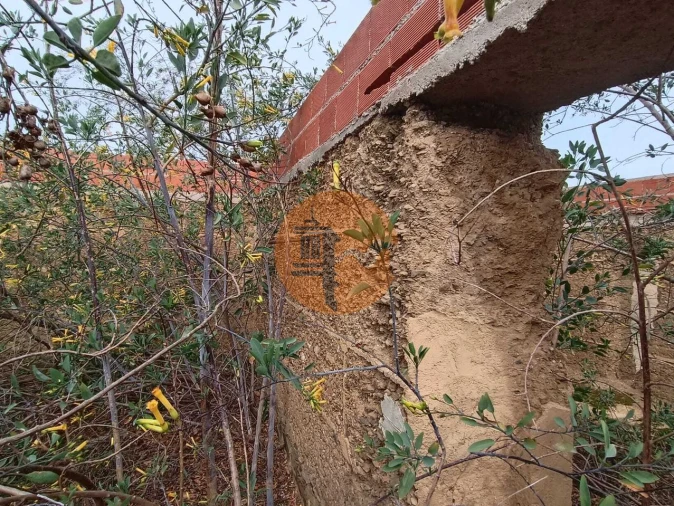 Moradia T1 para Venda em Santana de Cambas Foto 5