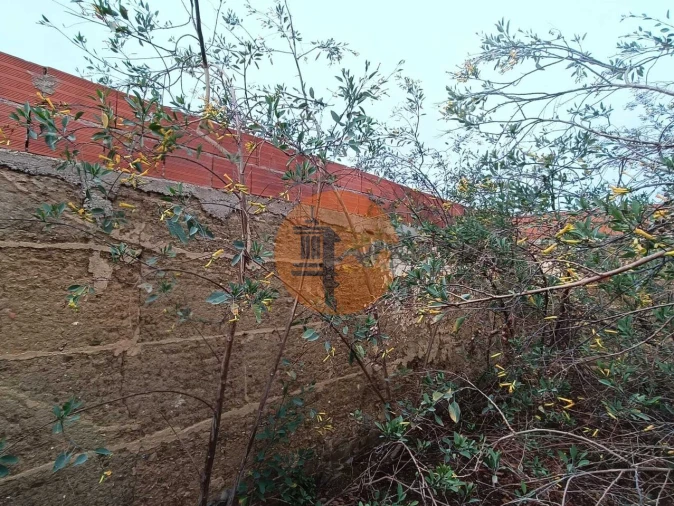 Moradia T1 para Venda em Santana de Cambas Foto 7