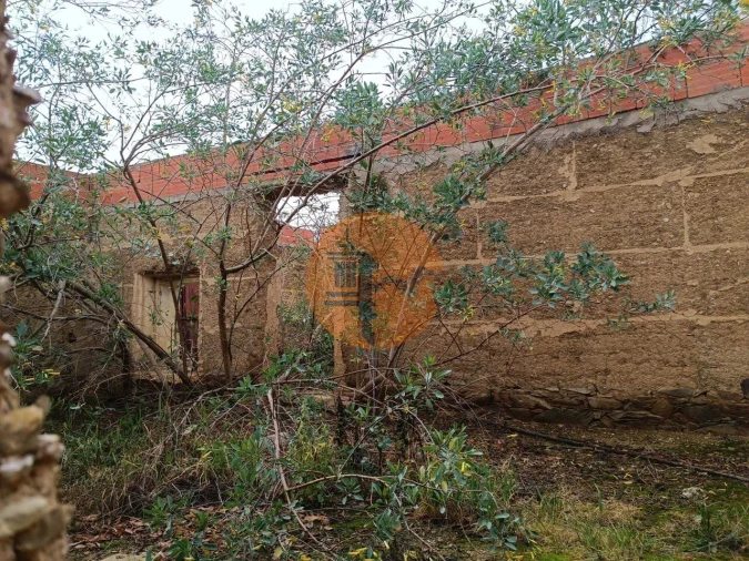 Moradia T1 para Venda em Santana de Cambas Foto 14