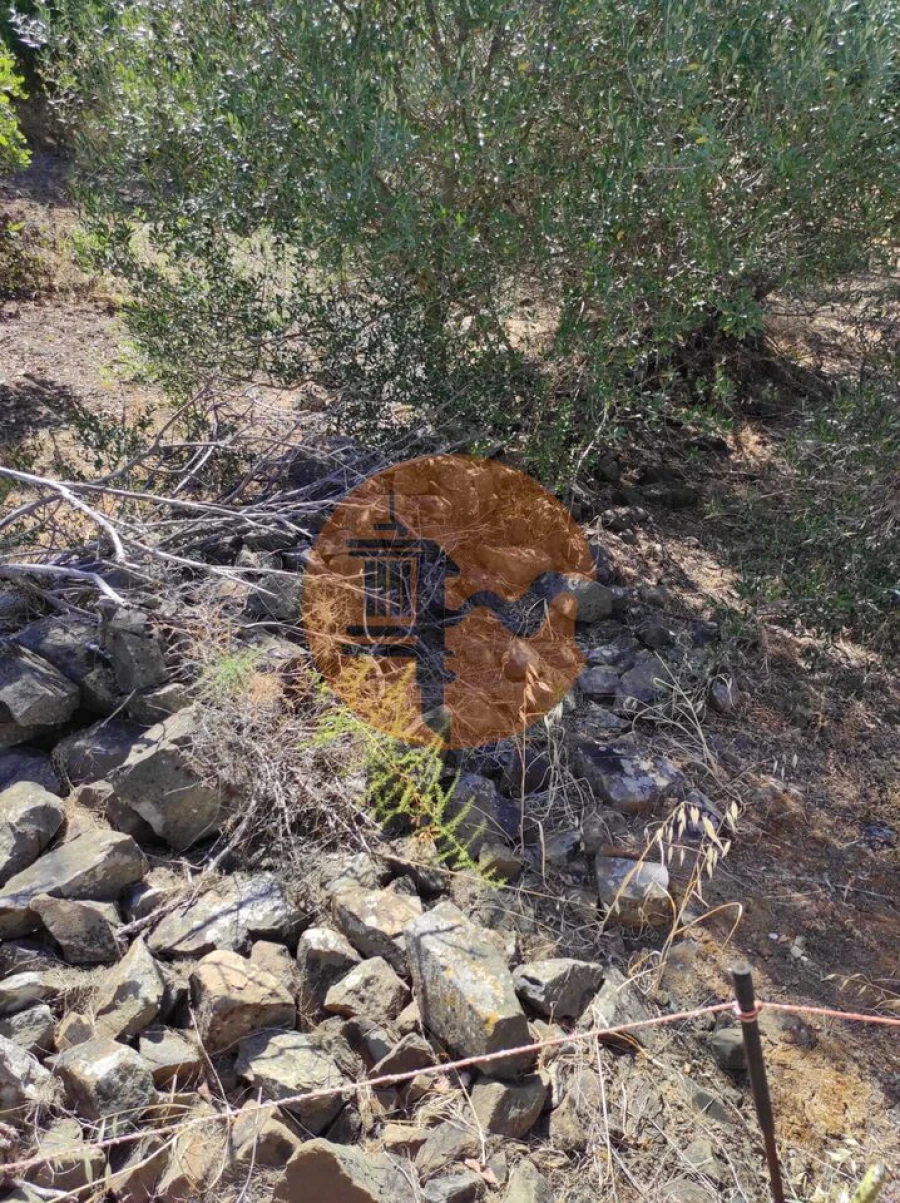 Moradia T2 para Venda em Castro Marim Foto 49