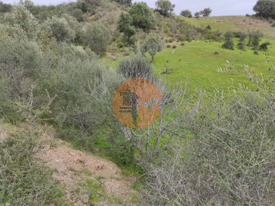 Terreno para Venda em Castro Marim Foto 10