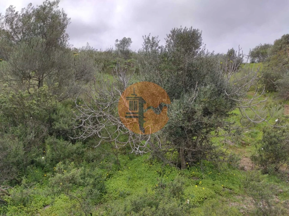 Terreno para Venda em Castro Marim Foto 17
