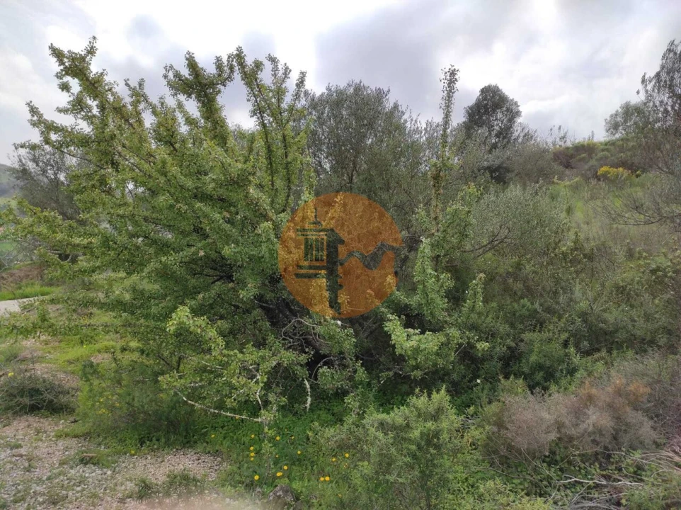 Terreno para Venda em Castro Marim Foto 18